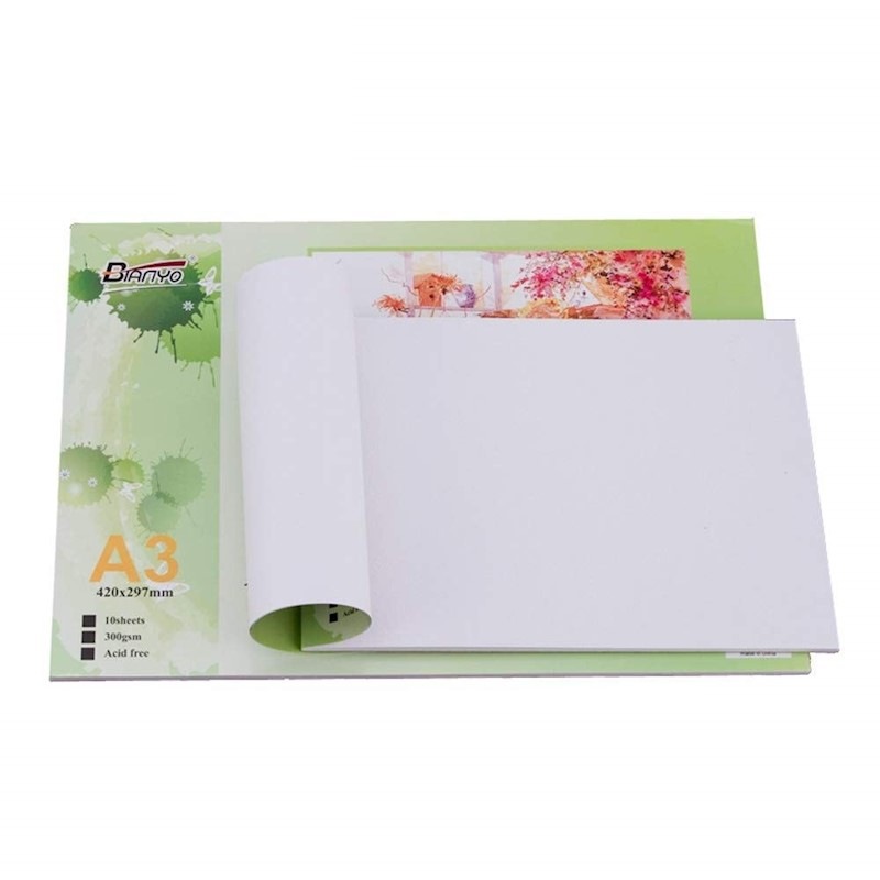 Buy Bianyo Artists Quality 2 Pack A3/A4 Acrylic Painting Paper Pad