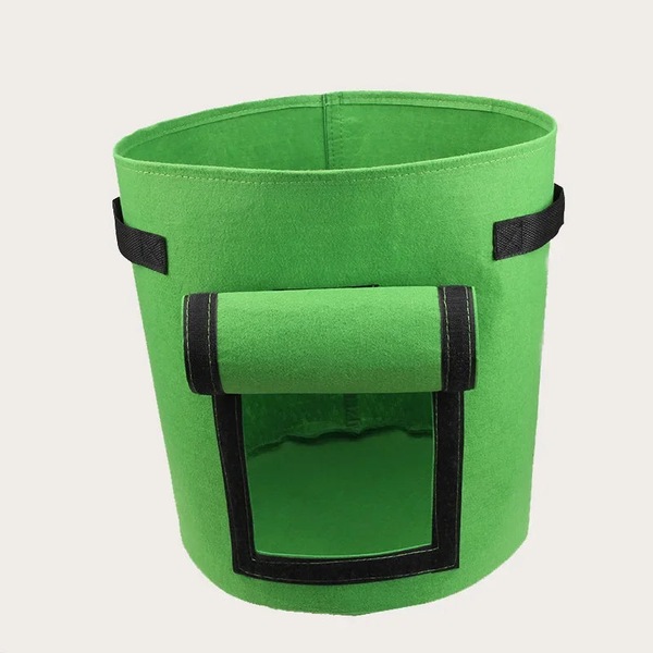 Image 6