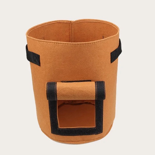 Image 7