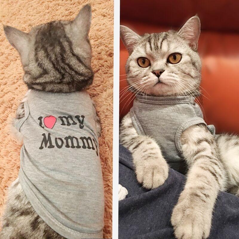 summer cat clothes