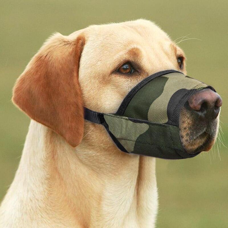 dog muzzle for biting art