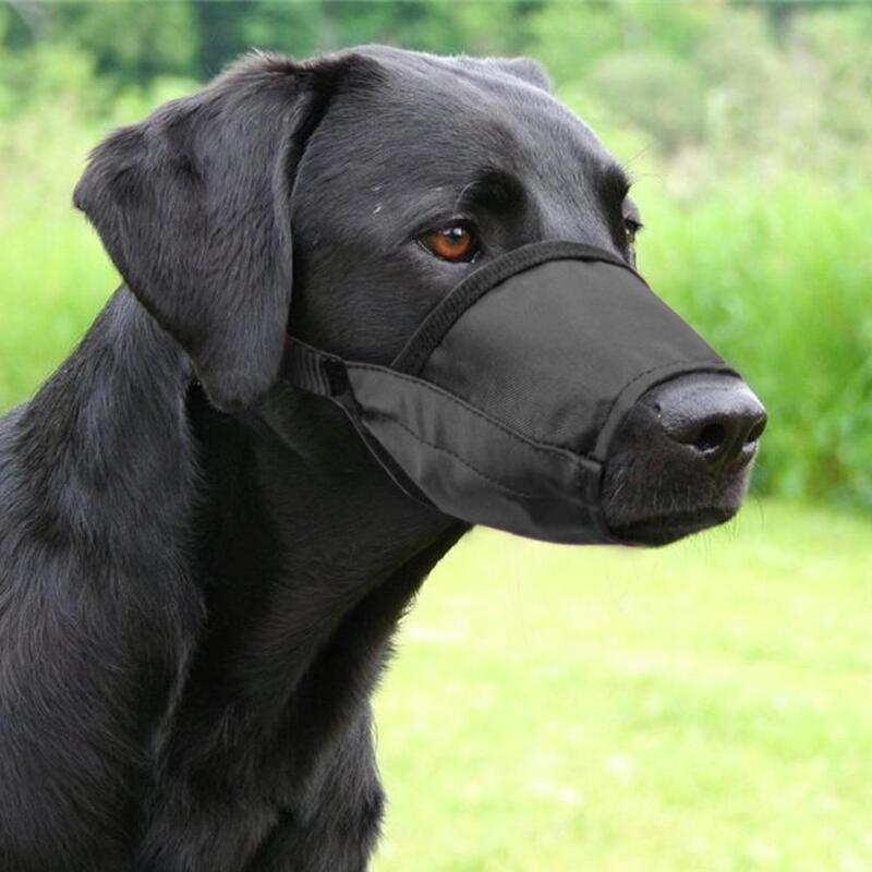 dog muzzle for chewers