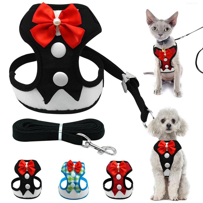 small animal harness