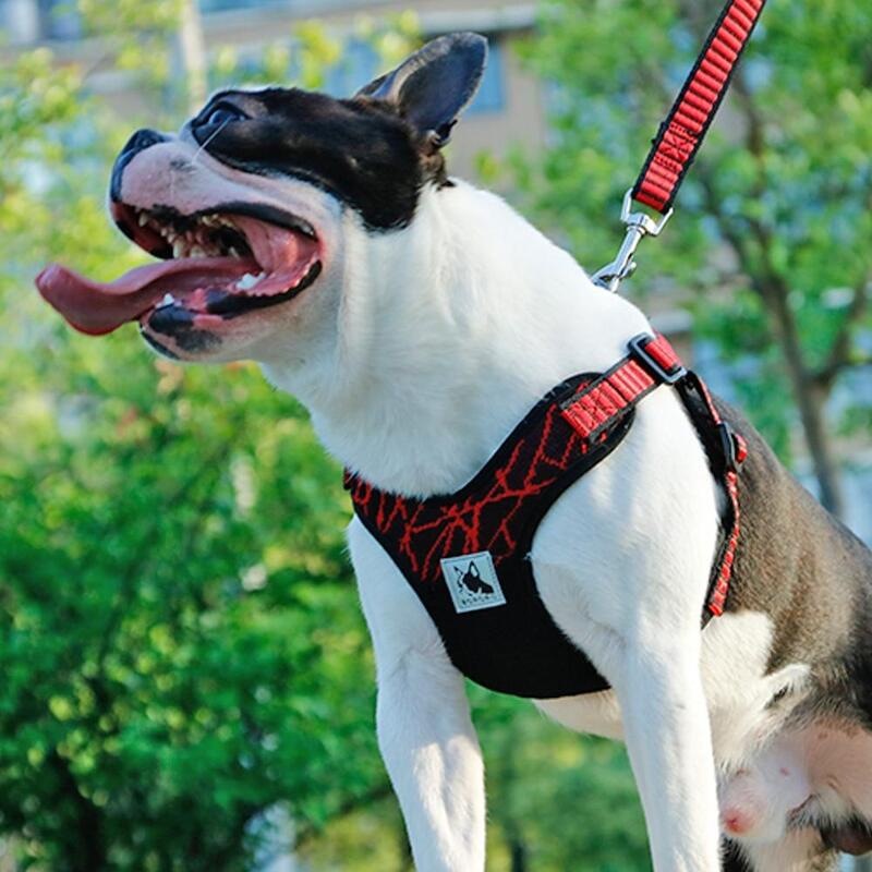 Buy No-pull Sport Reflective Dog Harness For Medium Large Dogs Pitbull ...