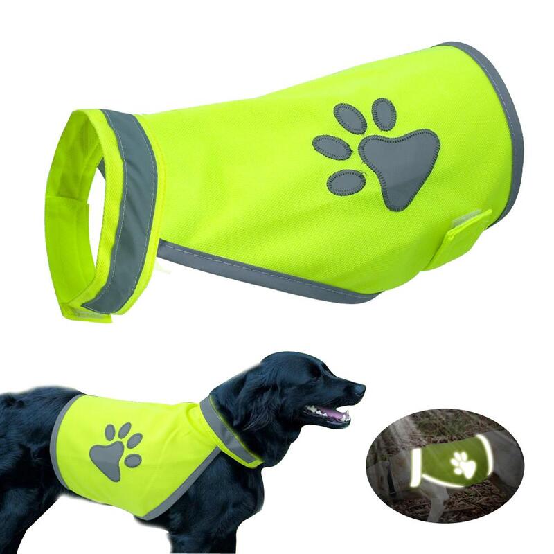 outdoor dog apparel