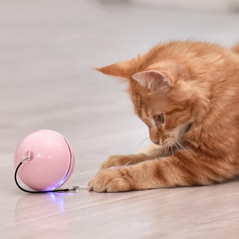rolling ball cat toy