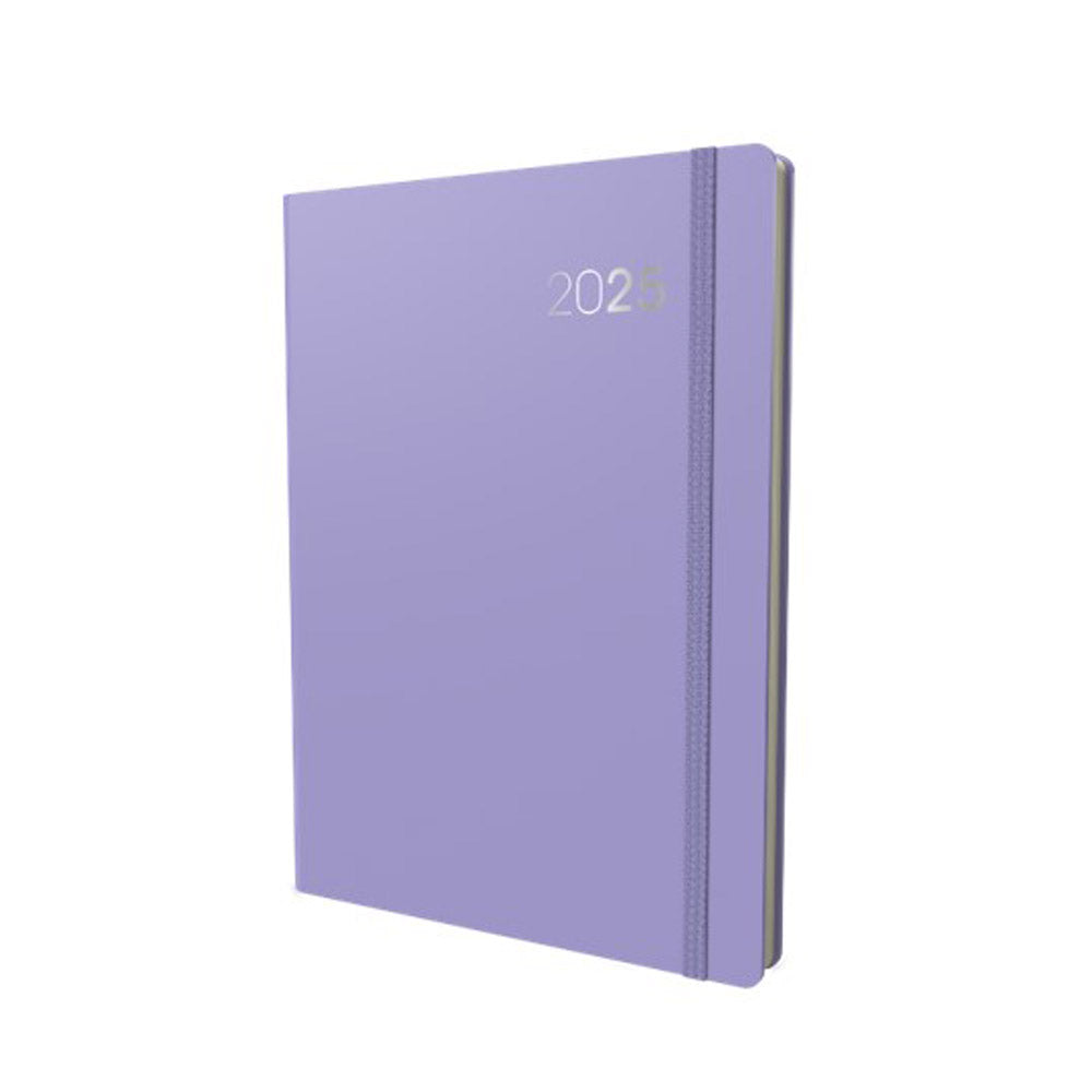 Image 7