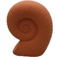 Fossilised Ceramic Snail