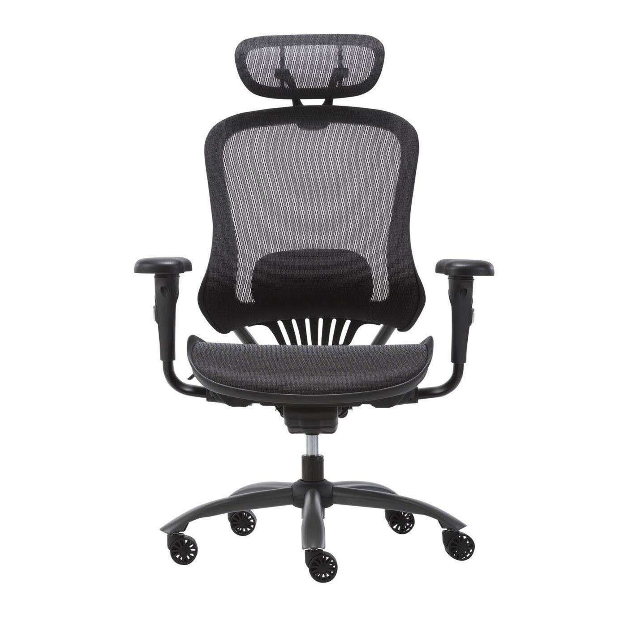 Ergousit Ergo 2D Ergonomic Office Chair - Mesh Computer Desk Chair - High Back Chair with Height Adjustable Lumbar Support and 2D Armrest- Swivel Executive Drafting Chair (Black)