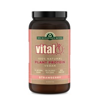 Vital Plant Protein Strawberry 500GM