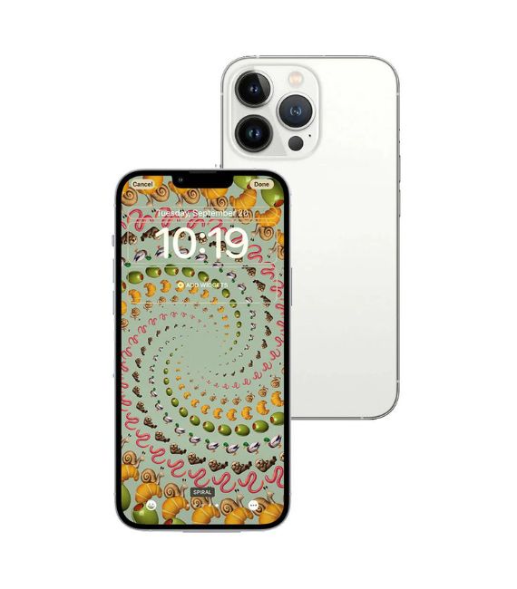 Image 4