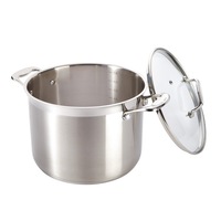 Baccarat iconiX Stockpot with Lid 7.2L/ 7.2L/24cm
