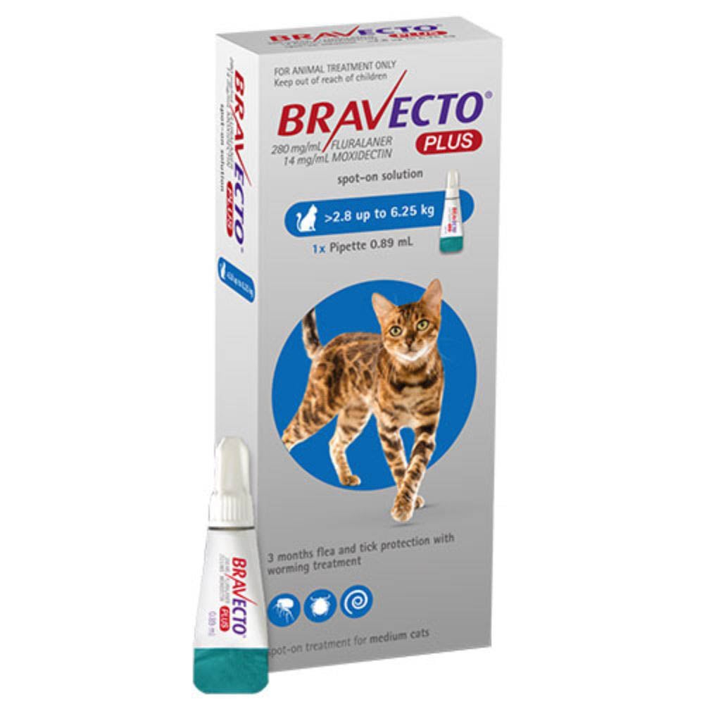 Bravecto Spot on Plus Medium Cat Blue 2.8 6.25kg 1 Pack Buy Cat