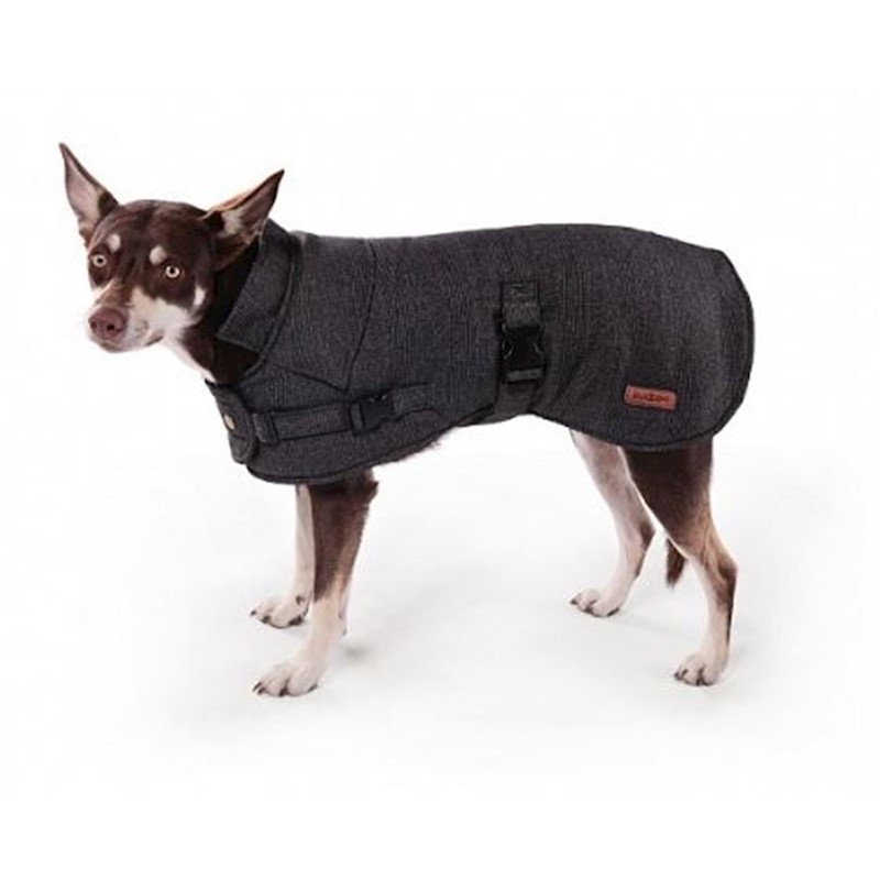 kazoo dog jacket