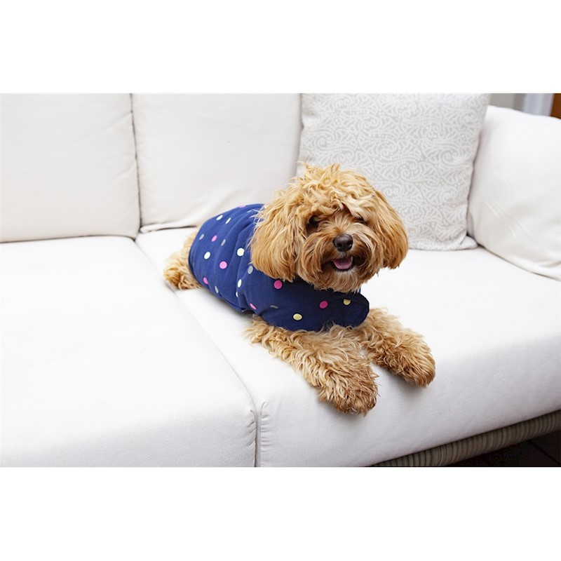 kazoo snuggle jacket