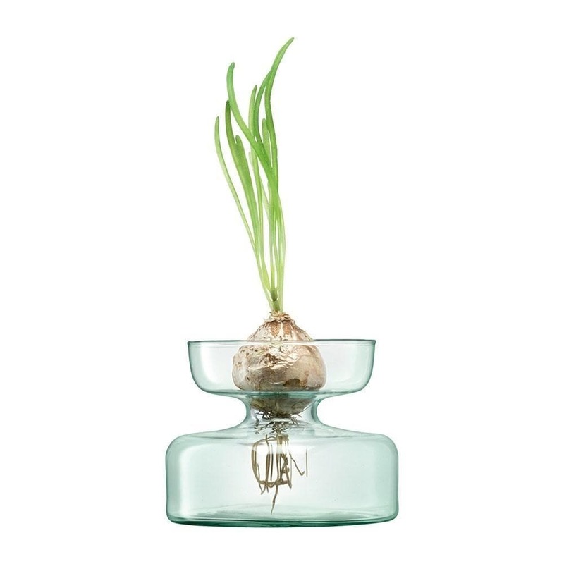 Buy LSA Canopy Recycled Glass Vase/Bulb Planter MyDeal