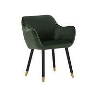 Modern Furniture AILIN Armchair Chair 83x62cm- Olive & Black