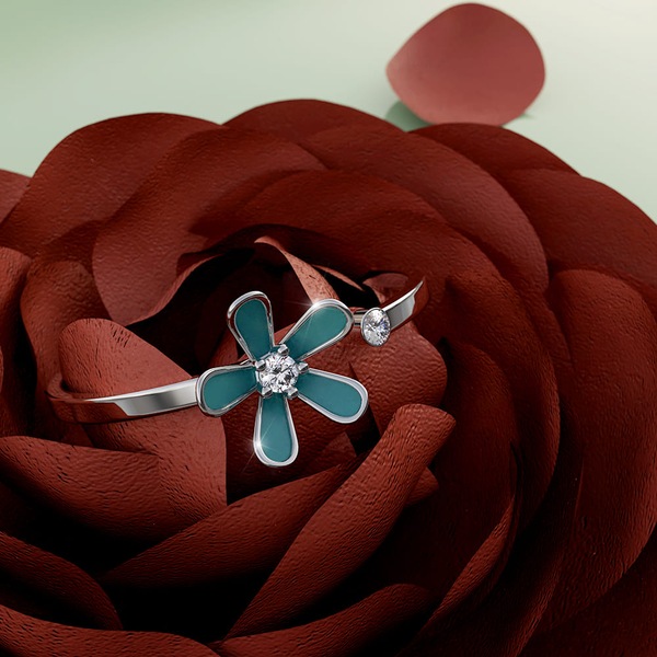 Image 21