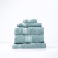 Renee Taylor Brentwood 650 GSM Quick Dry 5 Piece Gray Mist