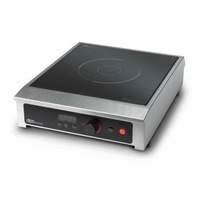 Dipo Counter Top Induction Cooker with Temperature Probe - Induction Cooking (RB-DCP23) - DCP23-RB