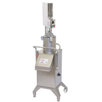 Hallde Pneumatic Feed Vegetable Preparation Machine RG-400i - Food Processors (RB-RG-400i-3PH-Pneumatic) - RG-400i-3PH-Pneumatic-RB