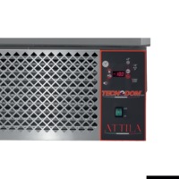 ItaliaCool Blast Chiller & Shock Freezer - Blast Chillers (DO3) - DO3