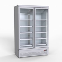Thermaster Double Door Supermarket Fridge - Commercial Drink Fridges (LG-1000GBM) - LG-1000GBM