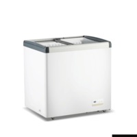 Thermaster 256L Chest Freezer With Flat Glass Sliding Lids WD256G - WD256G