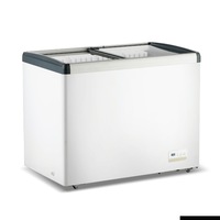 Thermaster 336L Chest Freezer With Flat Glass Sliding Lids WD336G - WD336G