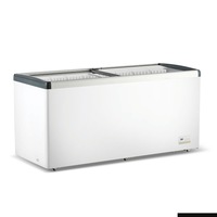 Thermaster 586L Chest Freezer With Flat Glass Sliding Lids WD586G - WD586G
