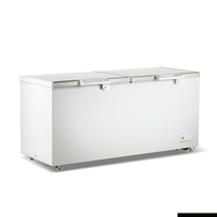 Thermaster 600L Chest Freezer With Stainless Steel Lid BD600F - BD600F