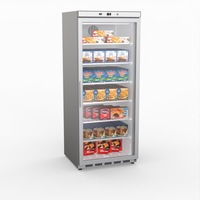 Thermaster Display Freezer With Glass Door - Display Freezers (HF600G S/S) - HF600G S/S