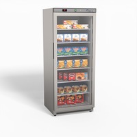 Thermaster Stainless Steel Upright Static Display Freezer XF600SG - XF600SG