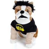 DJ Master Pet Costume