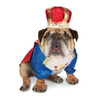 Royal Pet King Costume