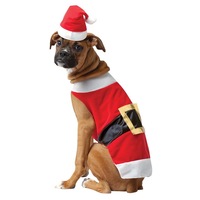 Santa Claus Pet Costume