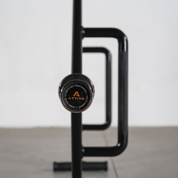 Image 6