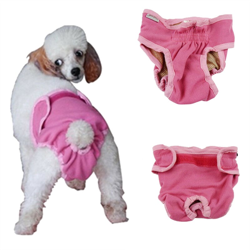 Buy Female Sanitary Dog Nappy Underpants Diaper Pants Plain Colours M L ...