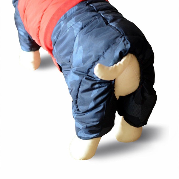 Image 3