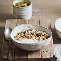 Artisan Dinner Bowl (4 Piece Bowl Set)