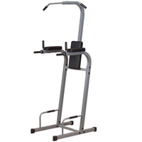 Powerline Vertical Knee Raise / Chin Up / Dip Station
