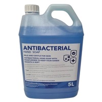Antibacterial Hand Soap 5Lt