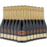 Taylor Ferguson Sparkling Shiraz Cabernet NV Dozen