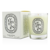 DIPTYQUE - Scented Candle - Verveine (Lemon Verbena)