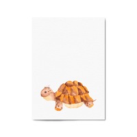 Cartoon Tortoise Cute Nursery Baby Animal Art #2