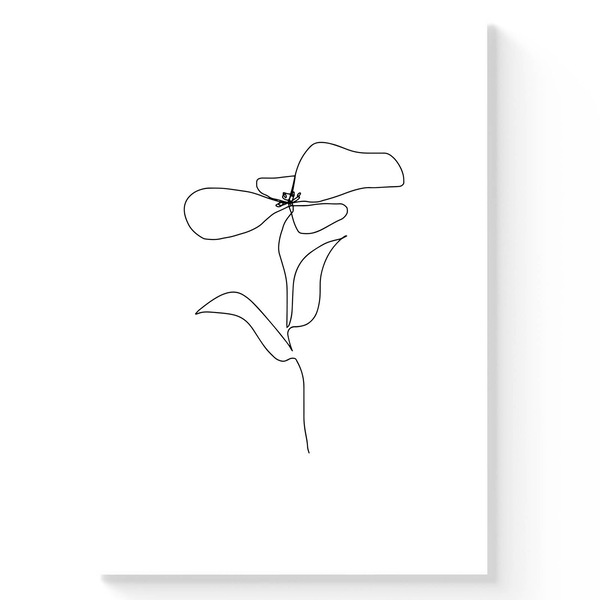 Image 13