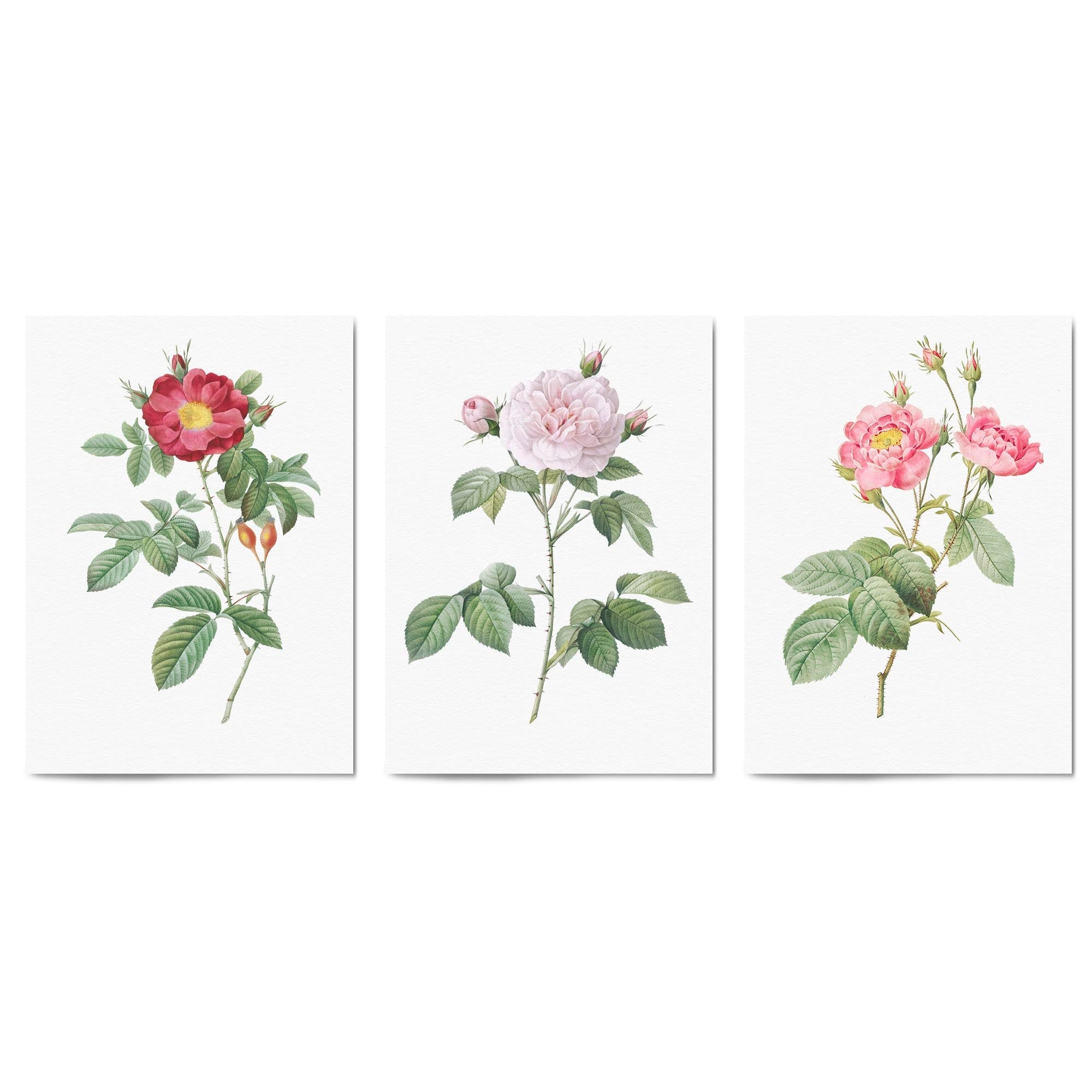 Set of Pink Floral Vintage Botanical Wall Art #3