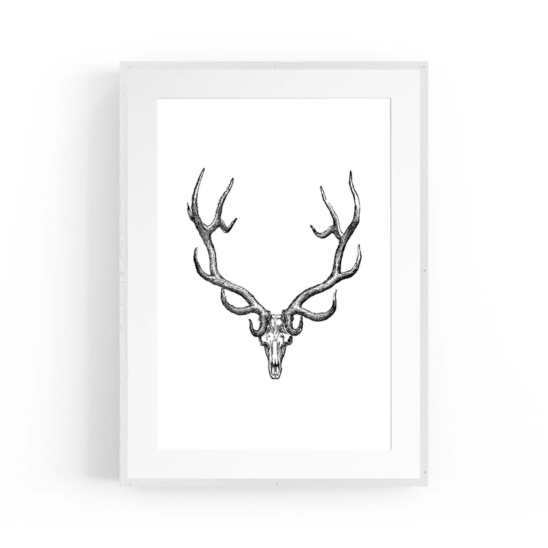 Buy Wapiti Skull Man Cave Afrian Hunting Wall Art - MyDeal