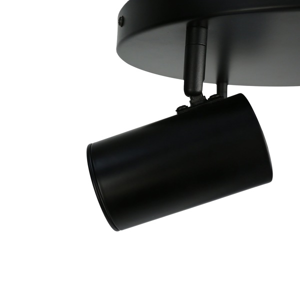 Image 21