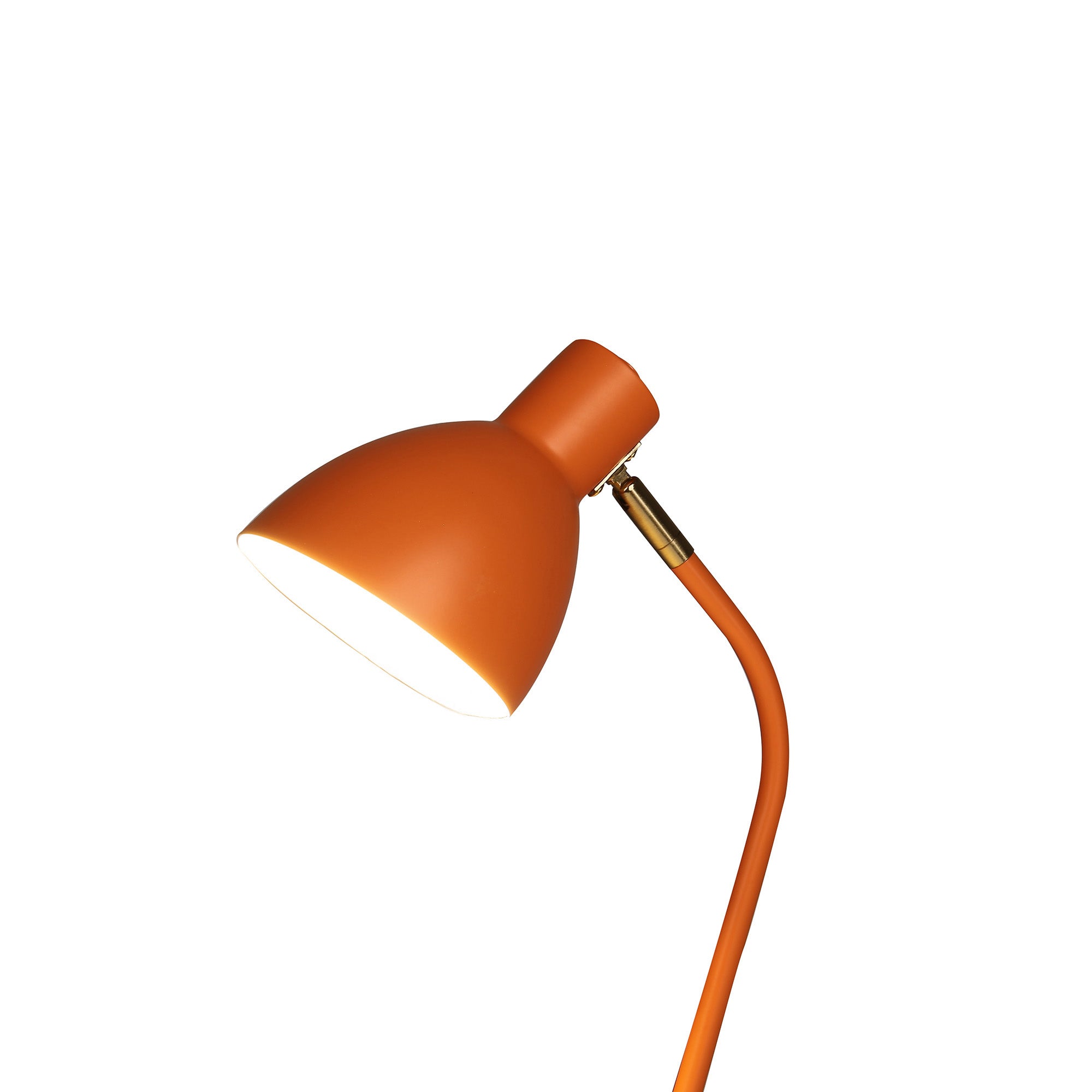 Image 21